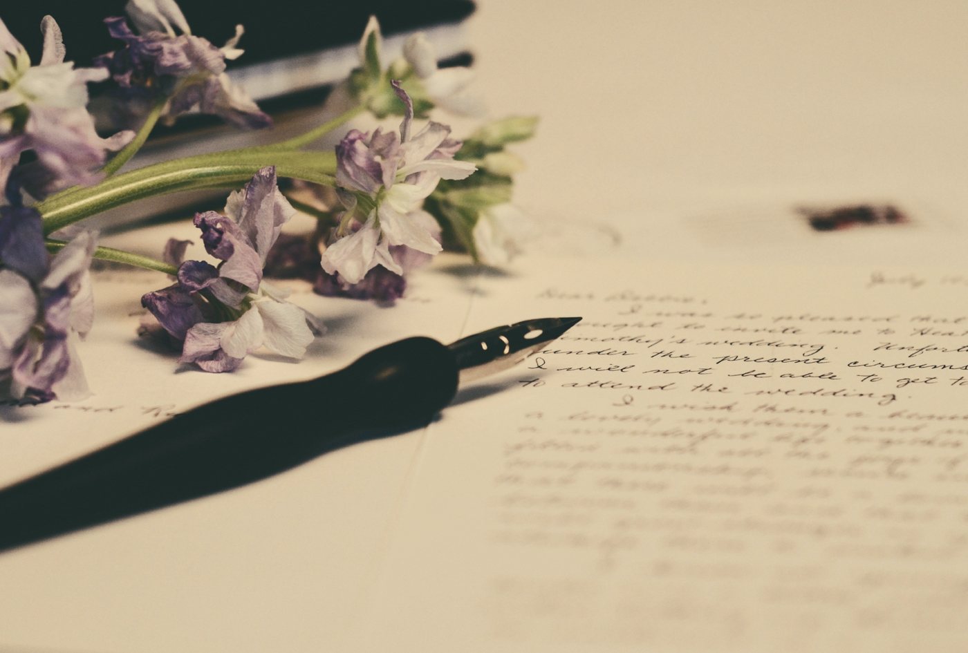 Caneta-tinteiro sobre uma carta escrita à mão, ao lado de flores secas
